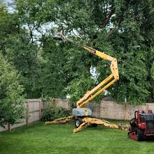 Best Tree Risk Assessment  in Mountainhome, PA